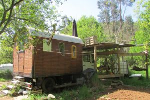 Aljoscha, orgelwagen, wohnmobil