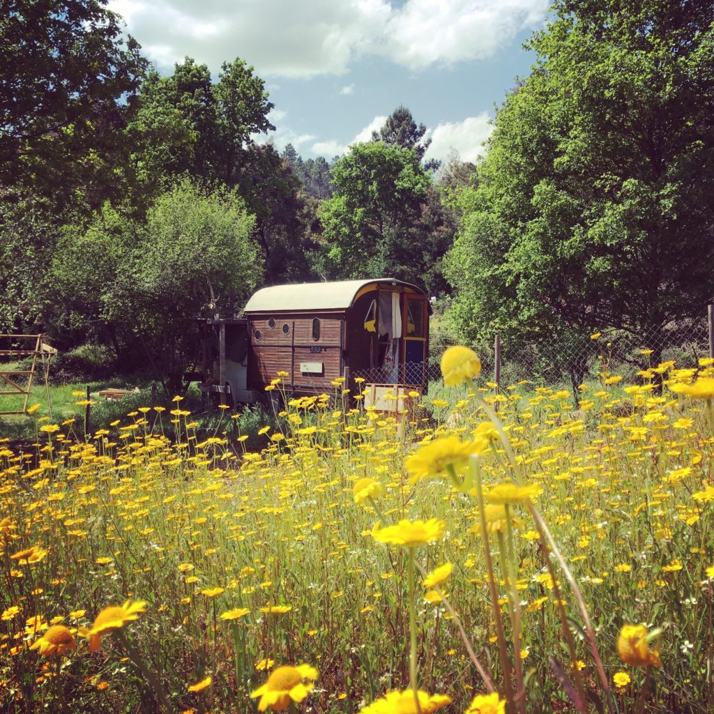 Bauwagen idyllisch zwischen Wiesen