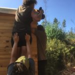 Schrauben mit Akku Schrauber