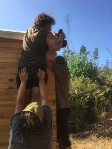 Schrauben mit Akku Schrauber