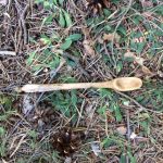 Löffel, Knolle, wildnis, Geschirr