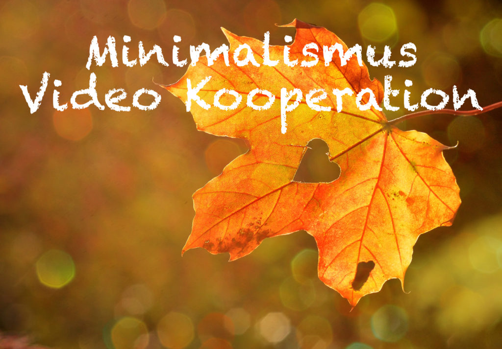 Doku über Minimalismus – Eine Filmkooperation mit uns als Wildnisfamilie Herbstliches Blatt